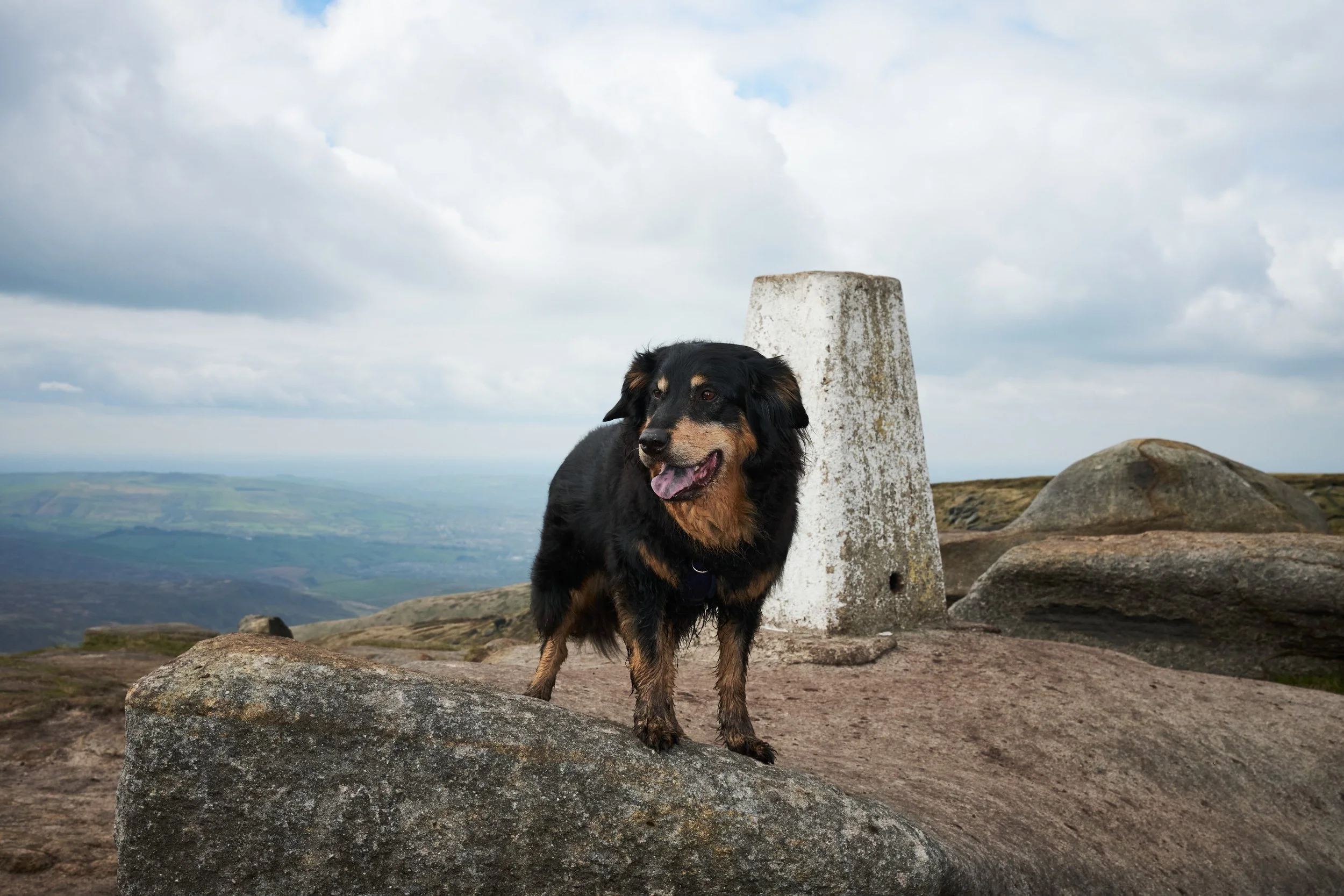 BLEAKLOW MAY 23_2270.jpg