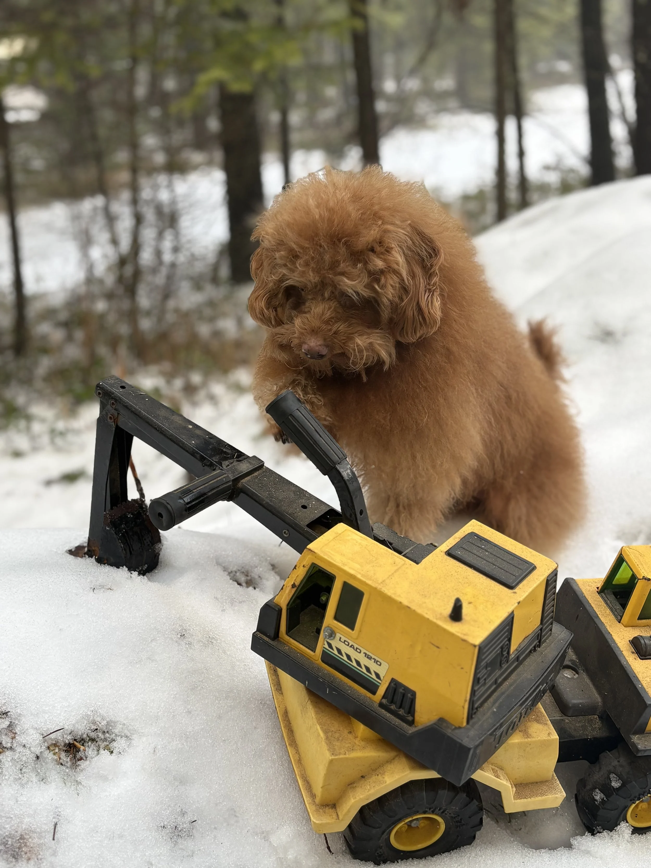 Reverse to … Advance?