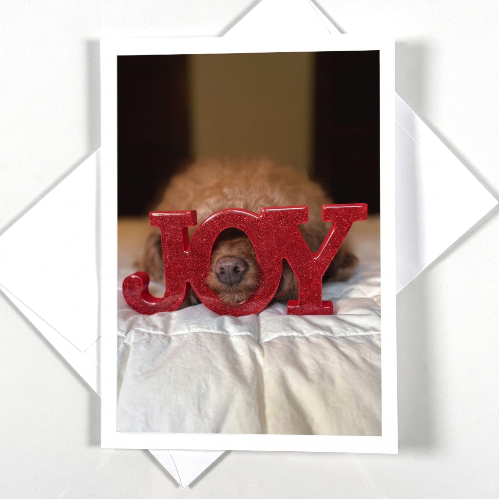 1 Yuletide JOY F.png
