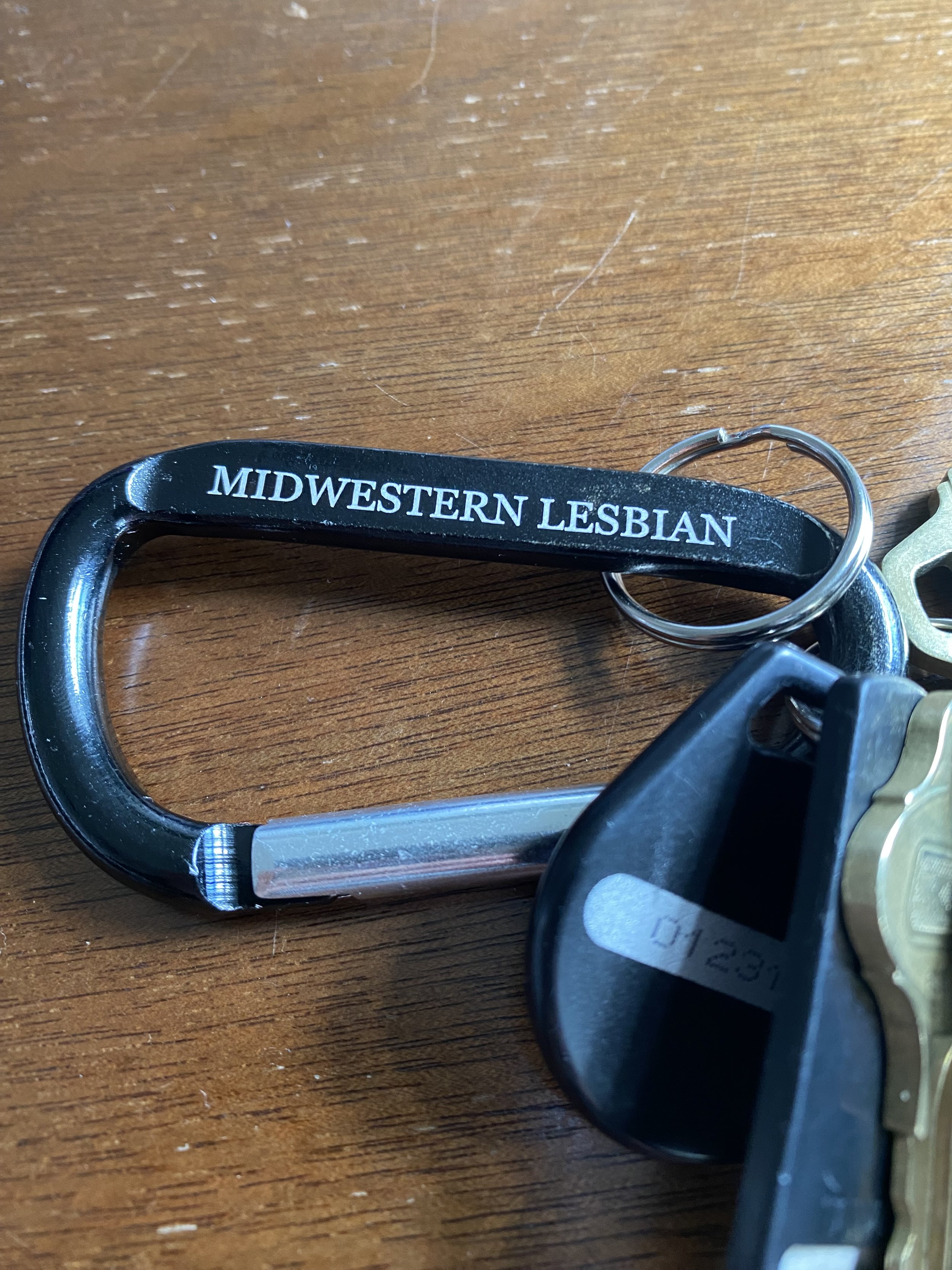 Midwestern Lesbian Merch Store — Midwestern Lesbian