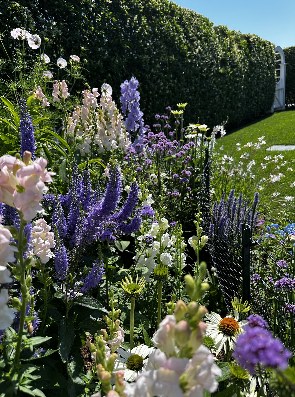 Landscape/Garden Maintenance