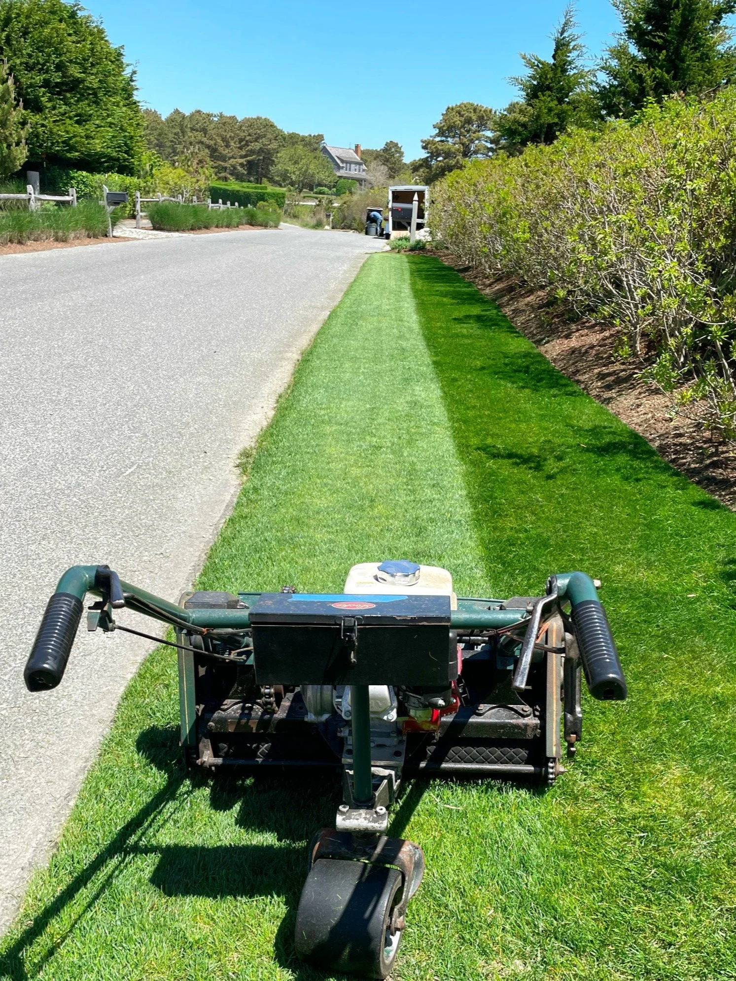 Lawn & Hedge Maintenance