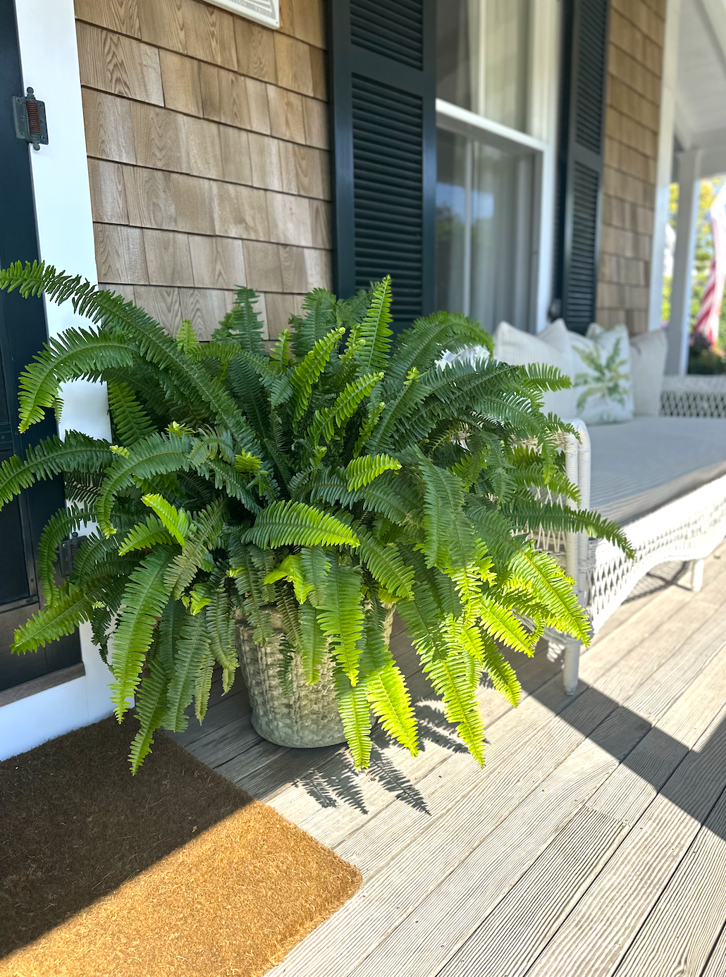 Screenshot 2026-02-27 at 12.00.58 PM.png