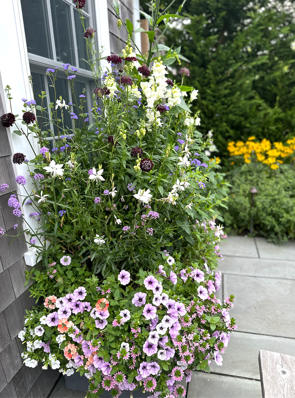 Screenshot 2026-02-27 at 12.01.58 PM.png