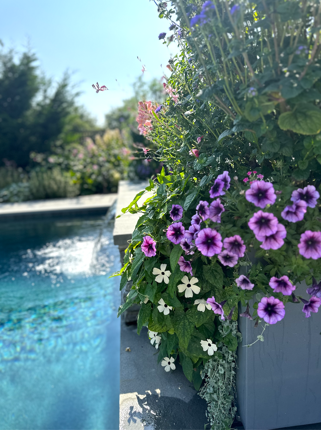 Screenshot 2026-02-27 at 12.04.33 PM.png