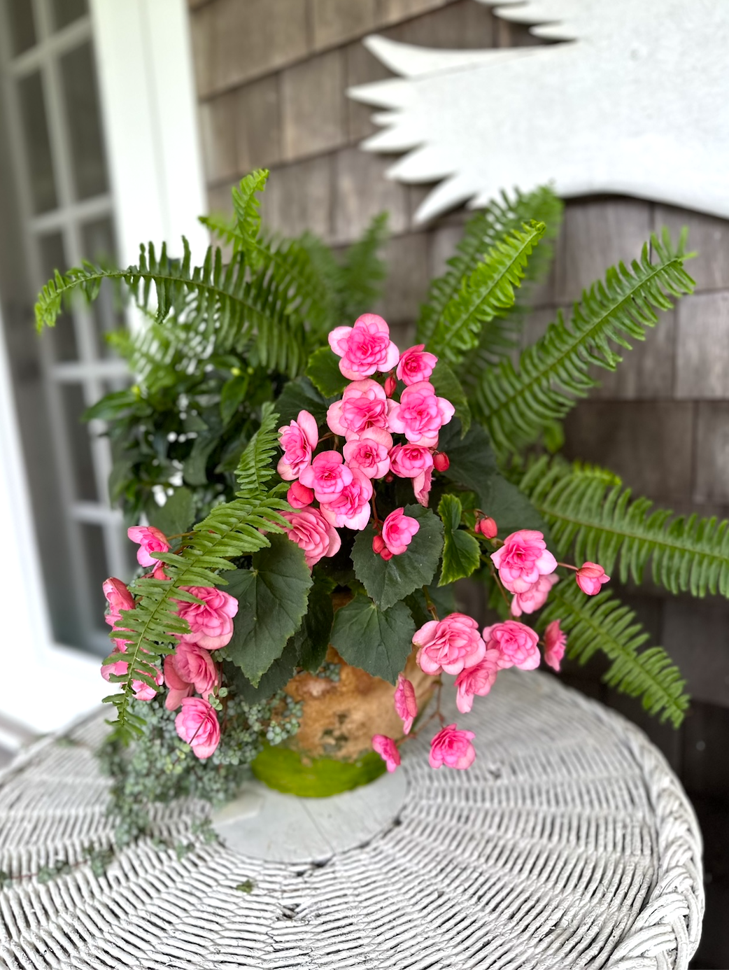 Screenshot 2026-02-27 at 12.03.48 PM.png