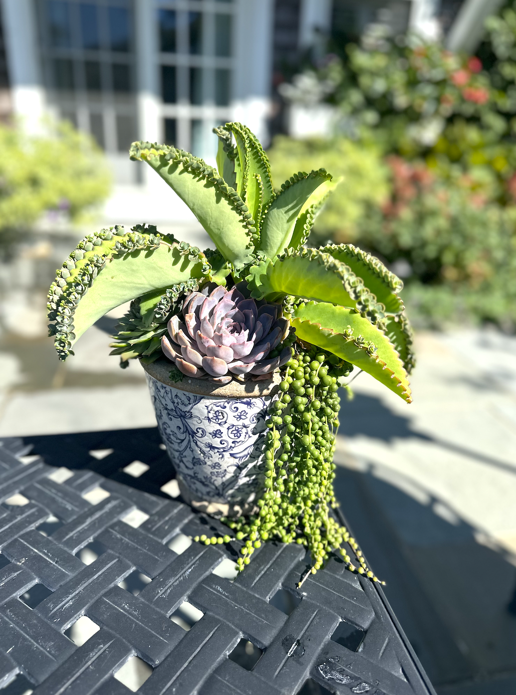 Screenshot 2026-02-27 at 11.57.59 AM.png