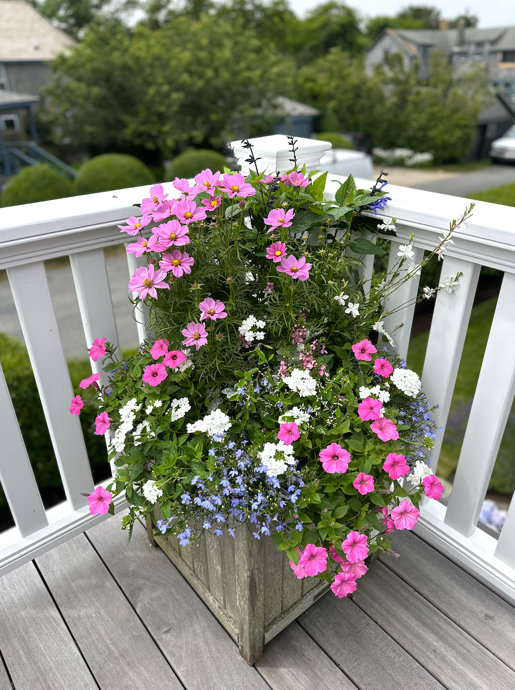 Screenshot 2026-02-27 at 11.49.51 AM.png