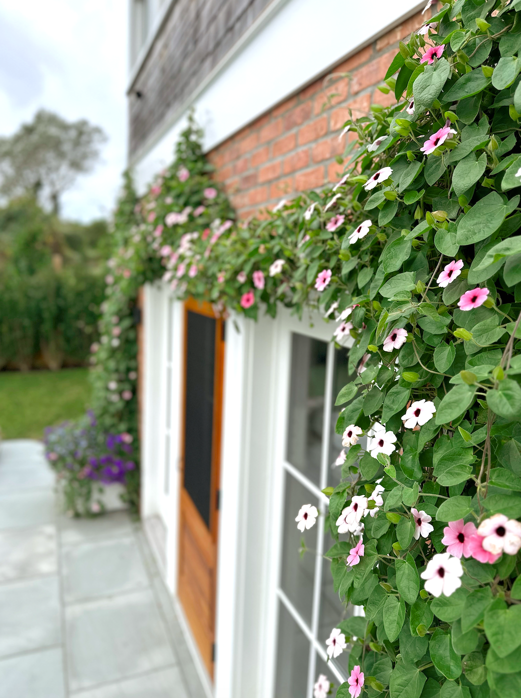 Screenshot 2026-02-27 at 12.06.53 PM.png