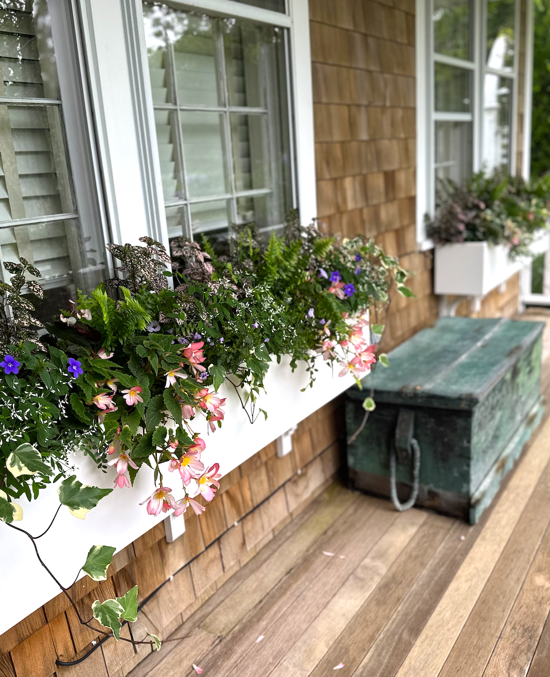 Screenshot 2026-02-27 at 11.52.25 AM.png