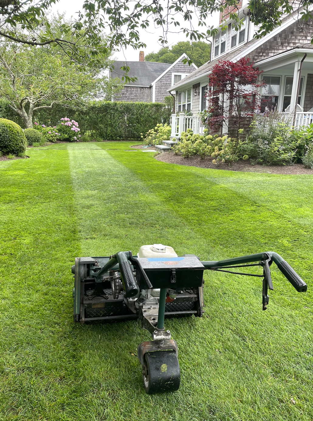 Lawn & Hedge Maintenance
