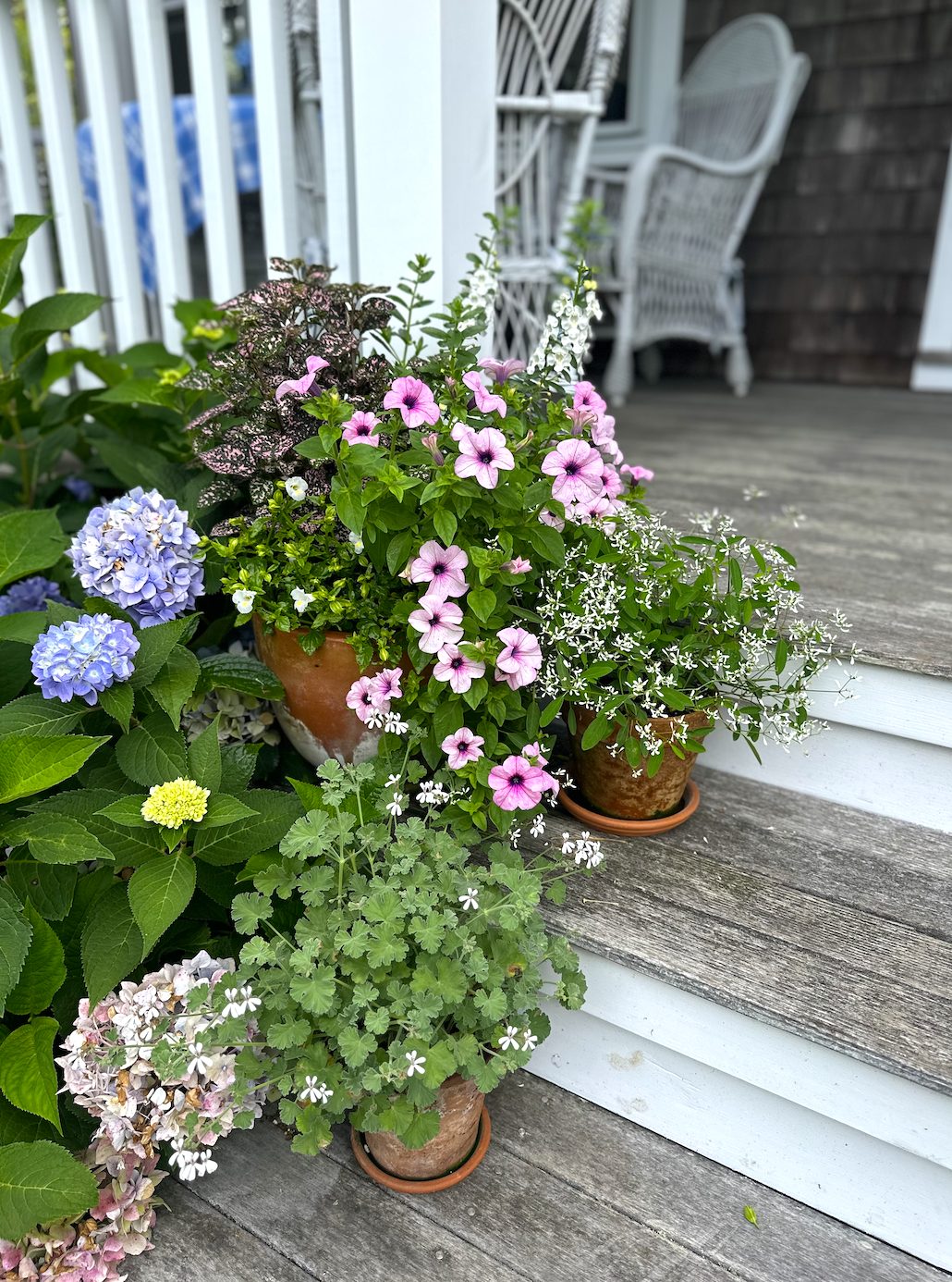 Screenshot 2026-02-27 at 11.57.27 AM.png