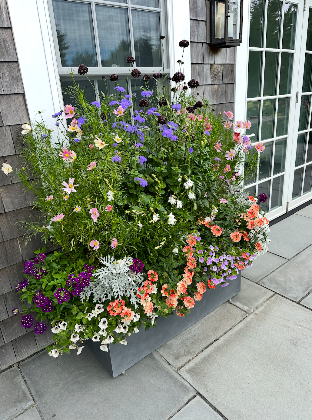 Screenshot 2026-02-27 at 12.01.32 PM.png