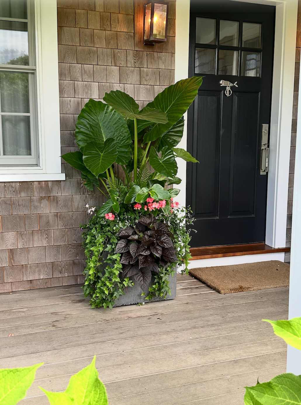 Screenshot 2026-02-27 at 11.59.12 AM.png