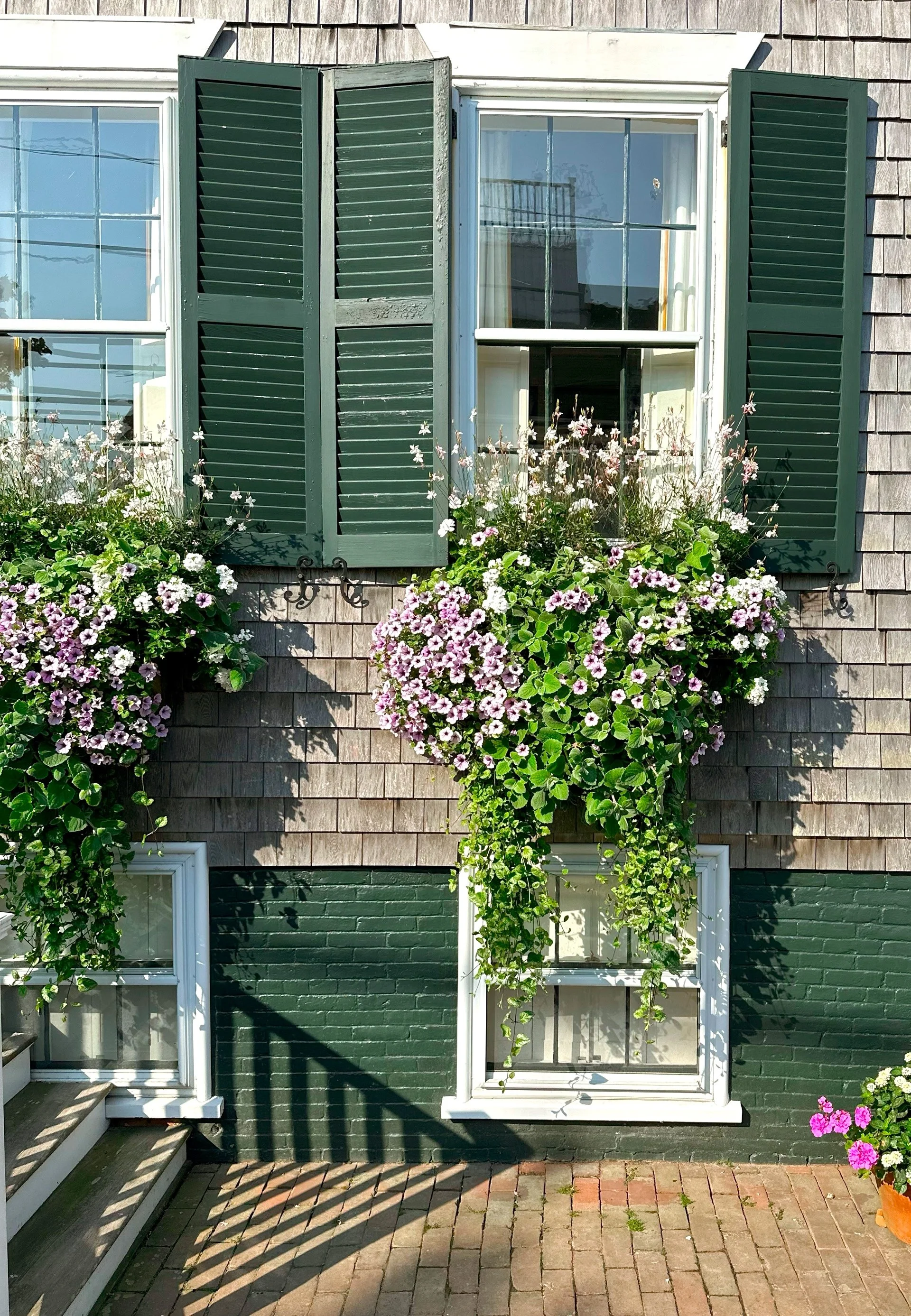 pinkpapaya_619 2.JPG