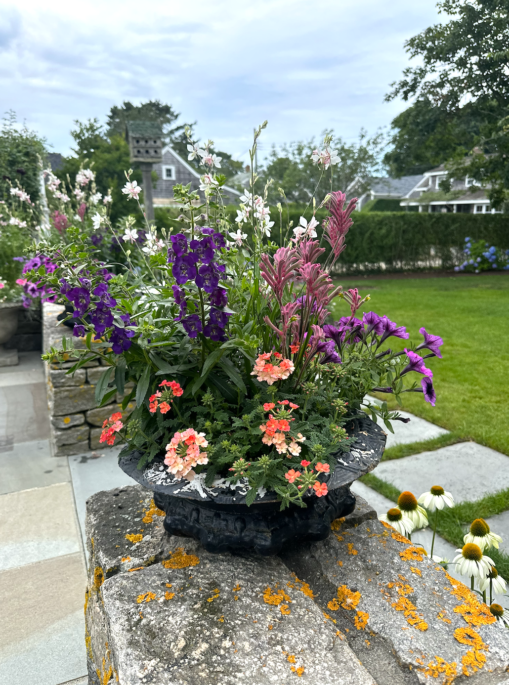 Screenshot 2026-02-27 at 11.57.04 AM.png