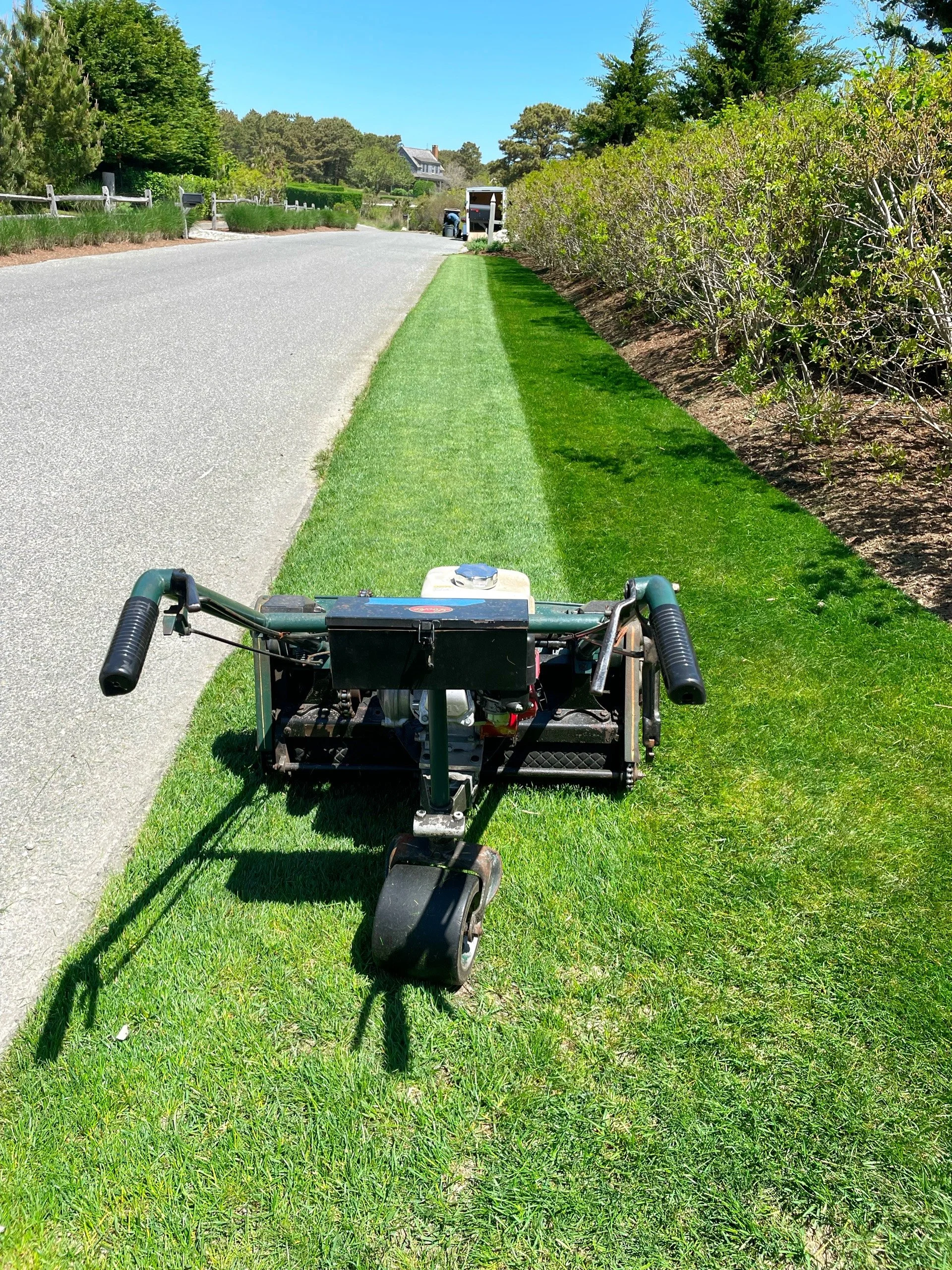Lawn & Hedge Maintenance