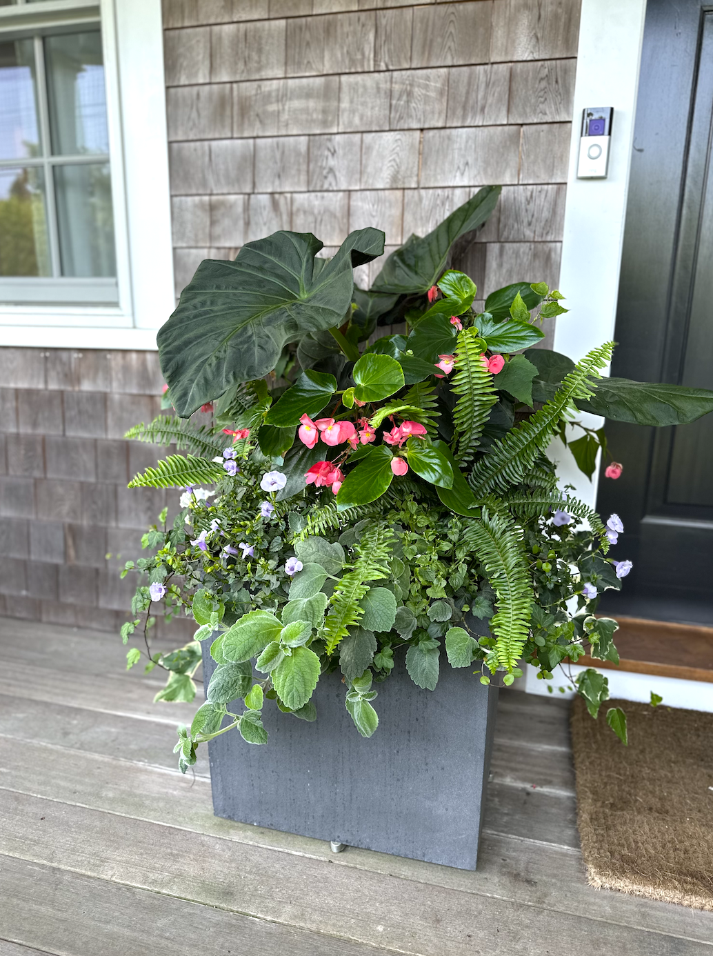 Screenshot 2026-02-27 at 11.48.56 AM.png