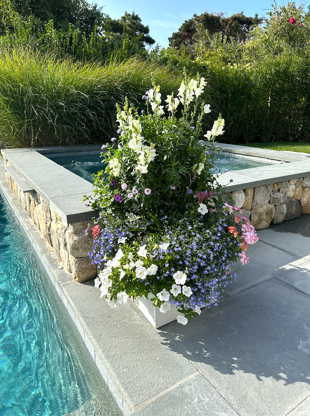 Screenshot 2026-02-27 at 12.04.59 PM.png