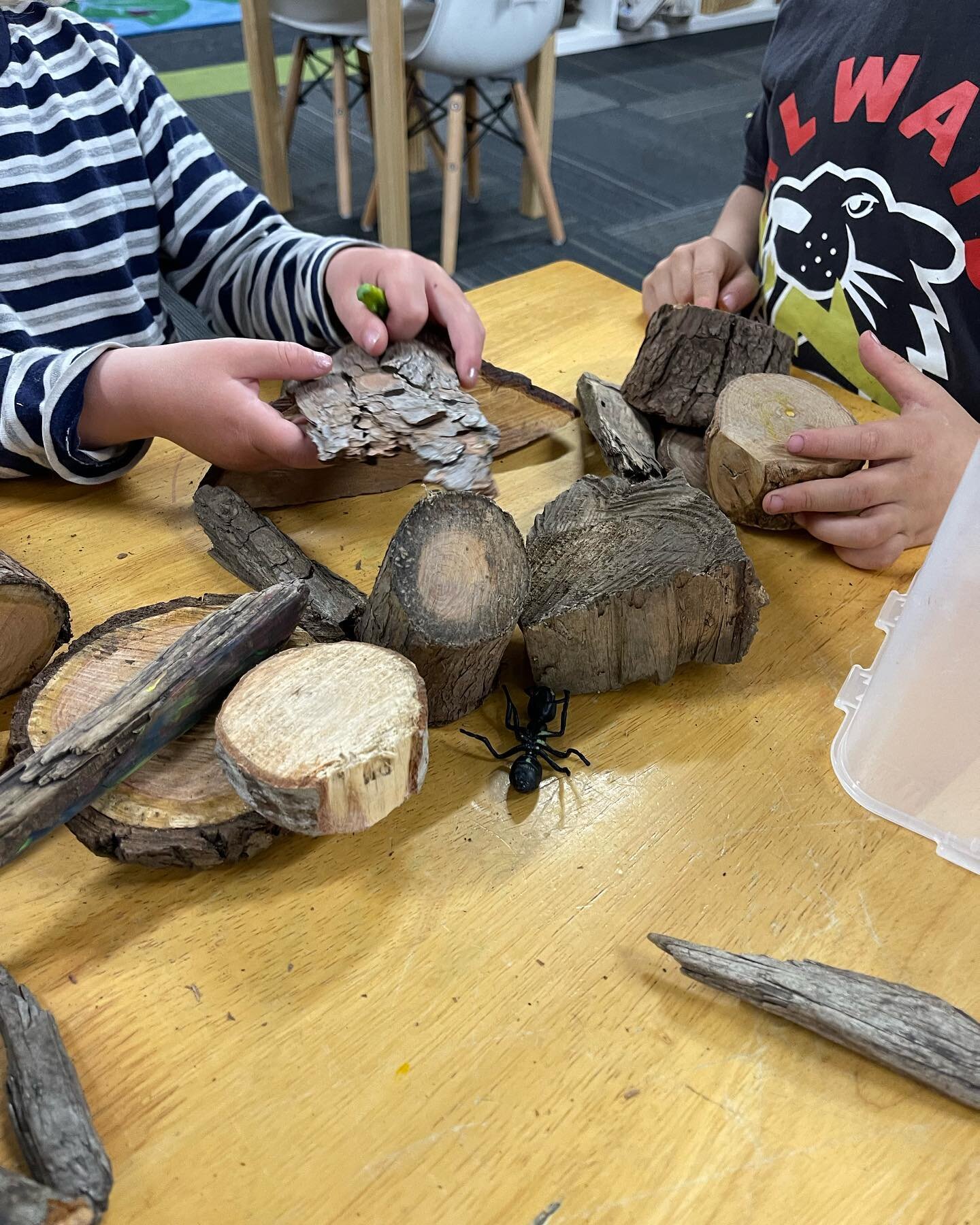 Hello all and happy Friday! Here we have our Duck class friends engaging in bug exploration. With our hands-on approach to learning, the class continues to further their understanding about the environment around them. With curiosity as the forefront
