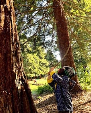 &ldquo;True creativity often starts where language ends&rdquo;- Arthur Koestler

🌱 Why is it important for children to navigate their own delay of self-expression?

🌱 The Reggio Emilia philosophy believes every child has endless potential to discov