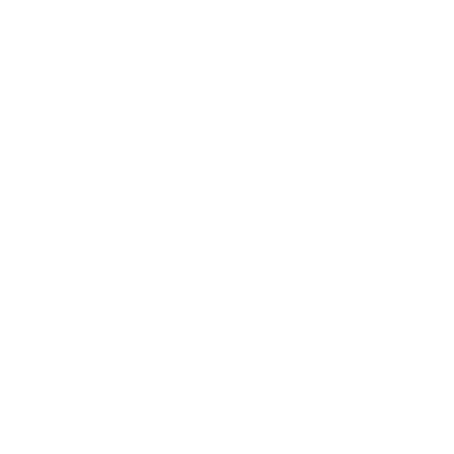 ripi.png