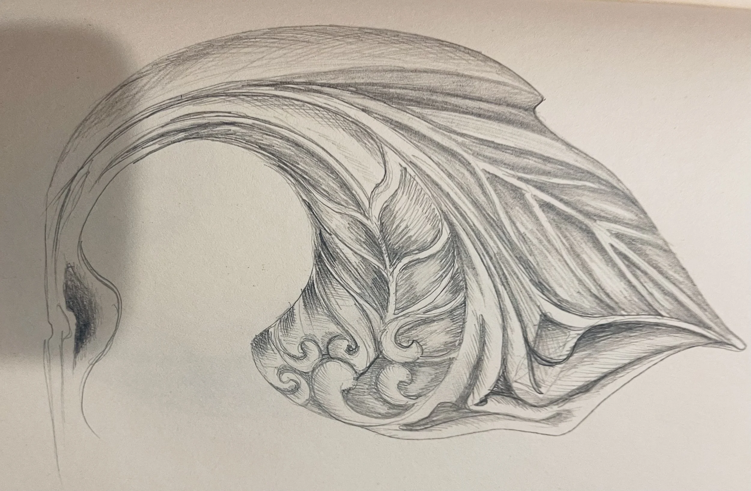 Complex combined flowerbone & leaf - from sketchbook.jpg