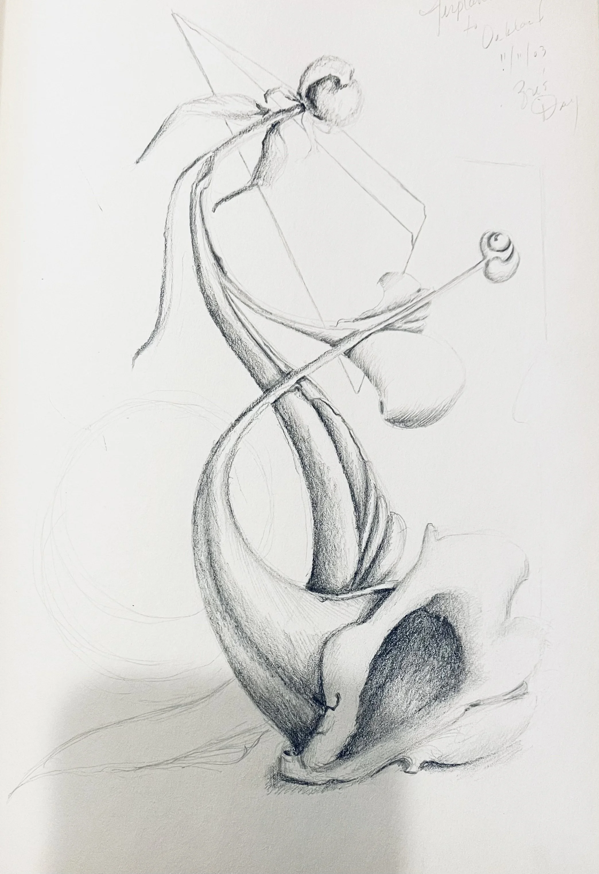 Flowerbone with seed sketch -  -from sketchbook - edited on phone.jpg