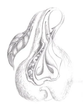 Sketchbook  - Fantasy Fruit copy.jpg