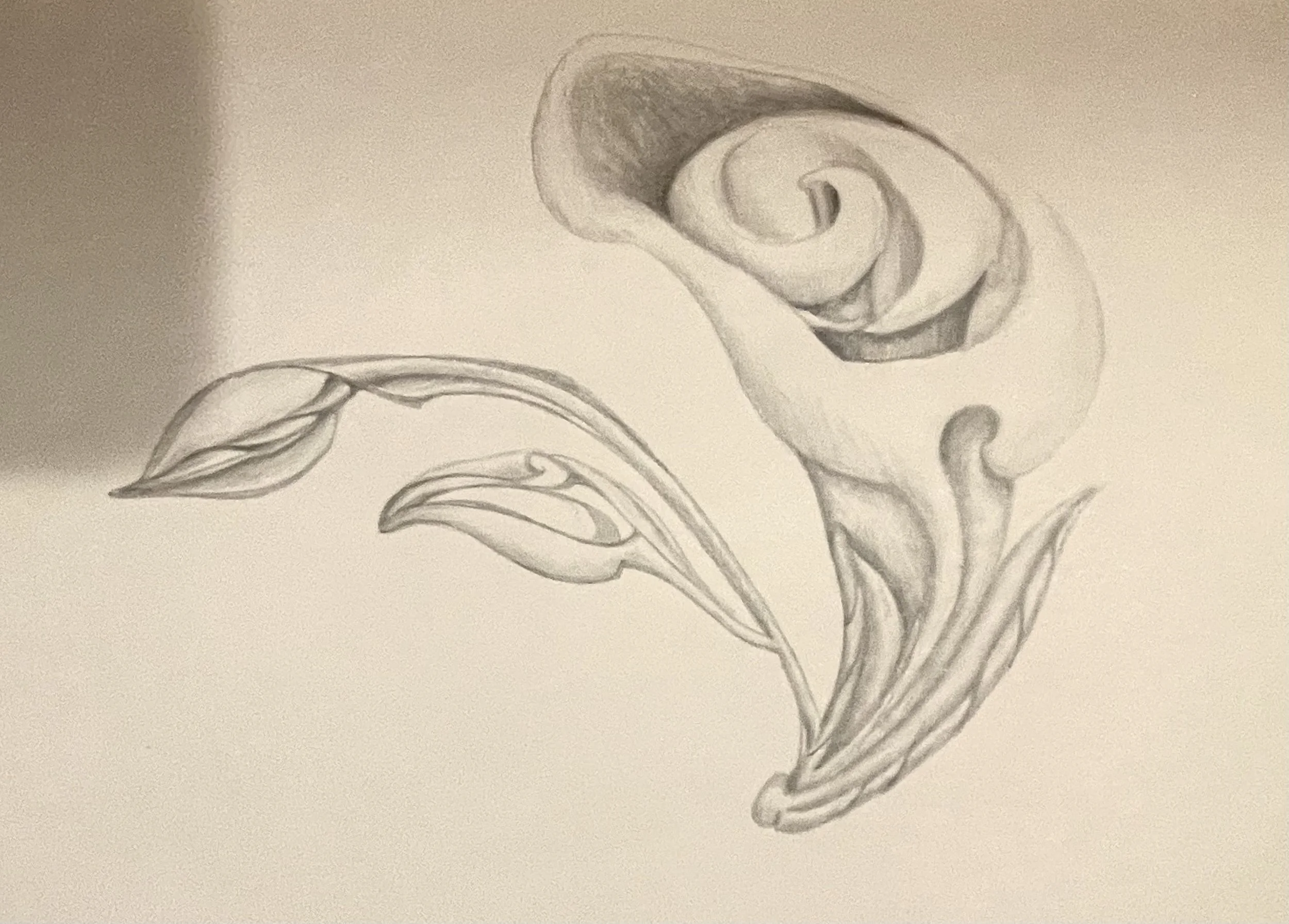 Swirl filled flowerbone sketch -from sketchook - edited on phone.jpg