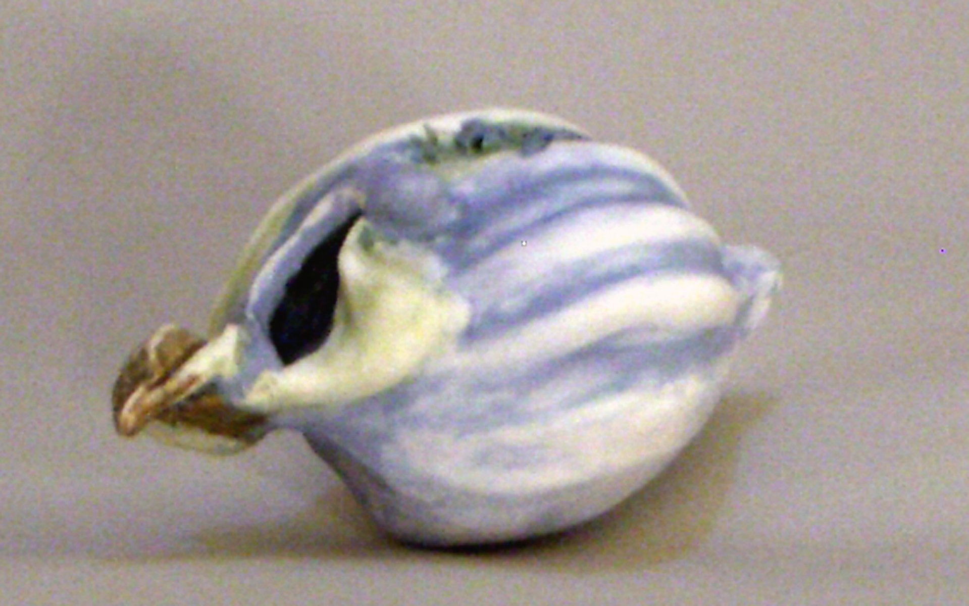 No Name porce blue - top and side view.jpg