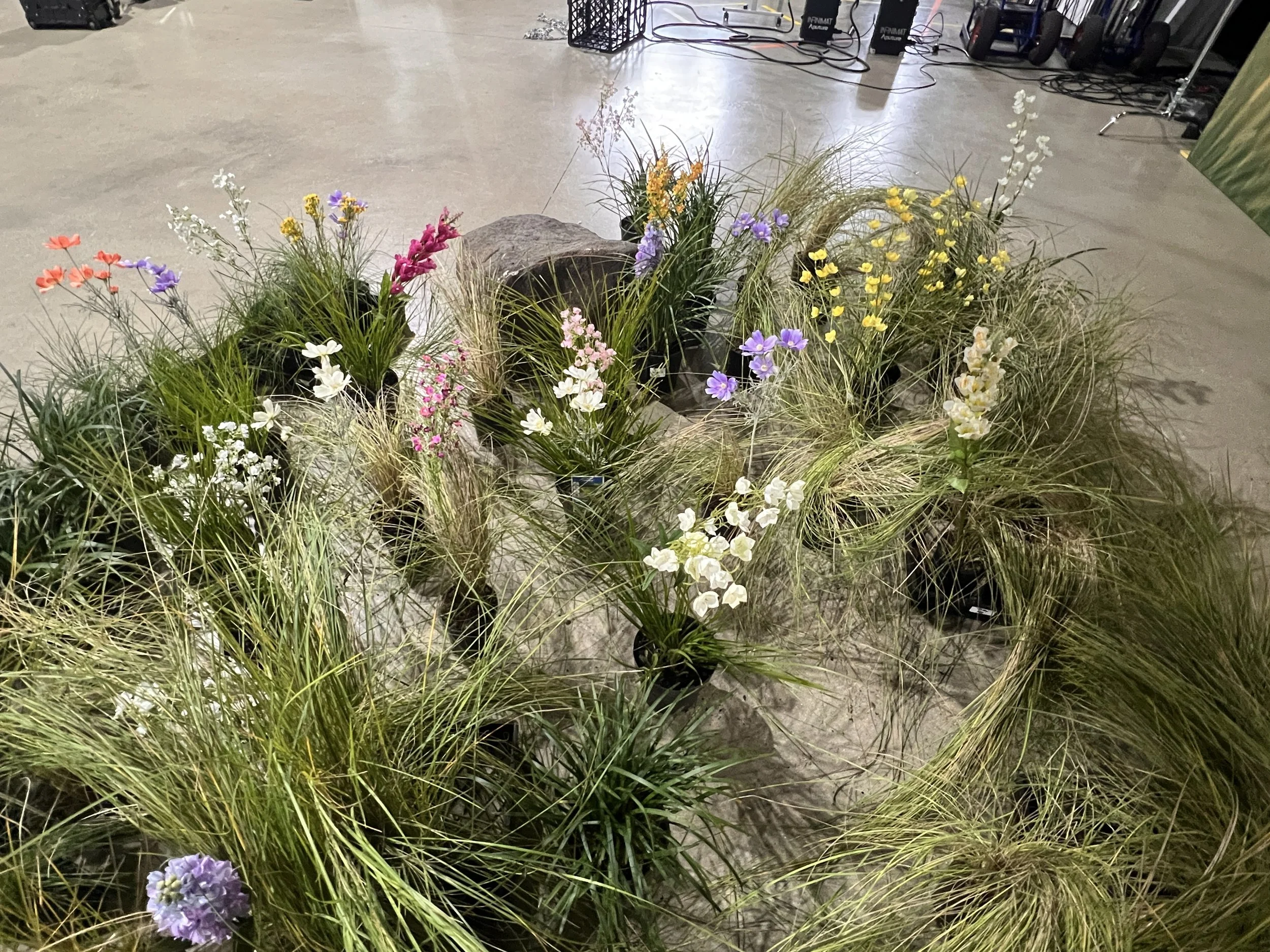 IMG_6893.JPG