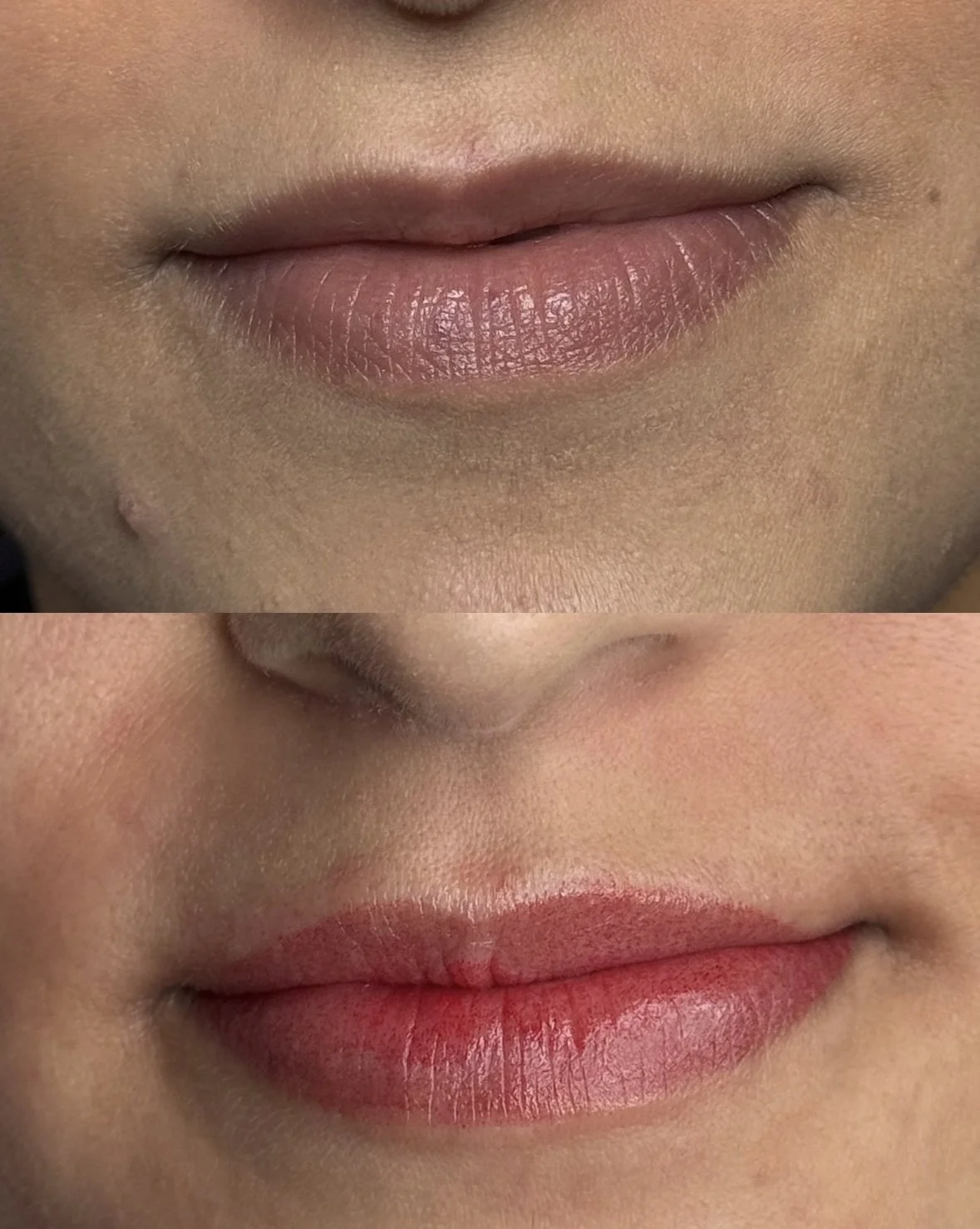 pmu by Ellie — Bohemian Social Club Tattoo, Hudson MA