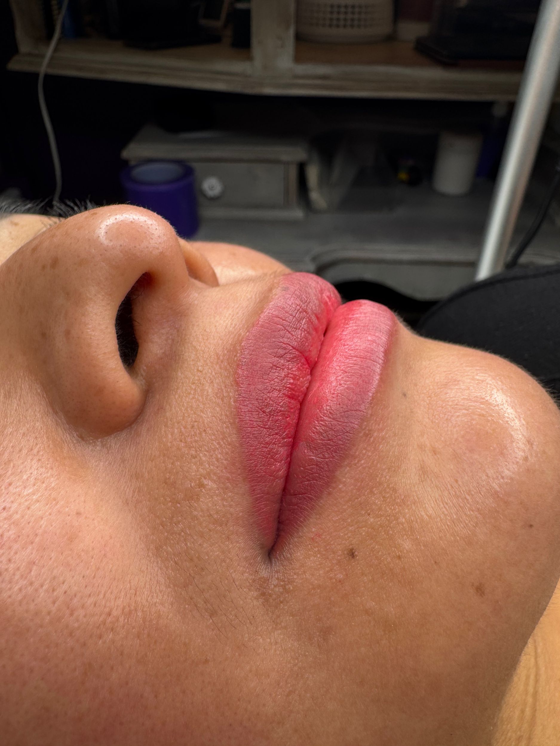 pmu by Ellie — Bohemian Social Club Tattoo, Hudson MA