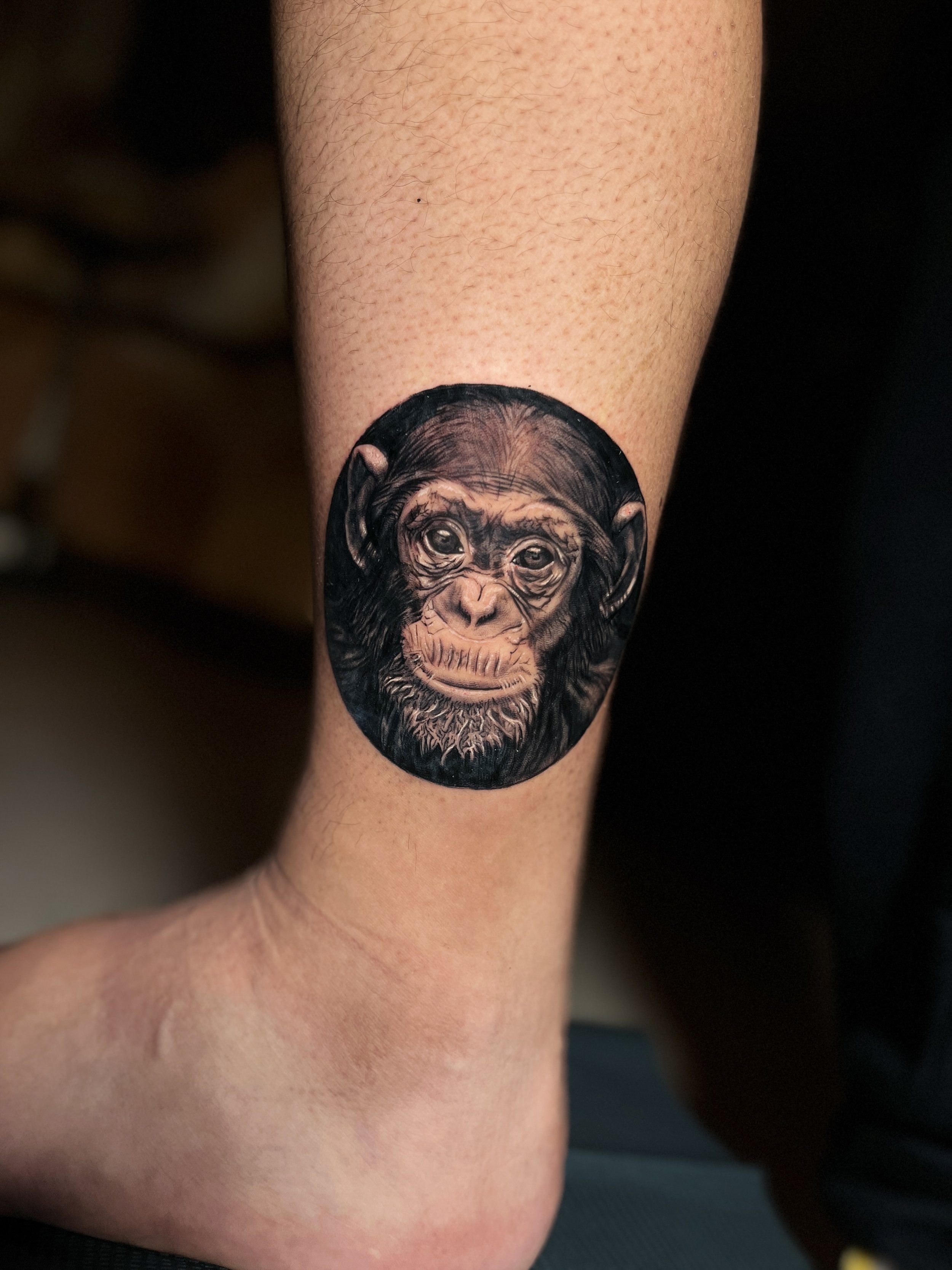chimp tattoo