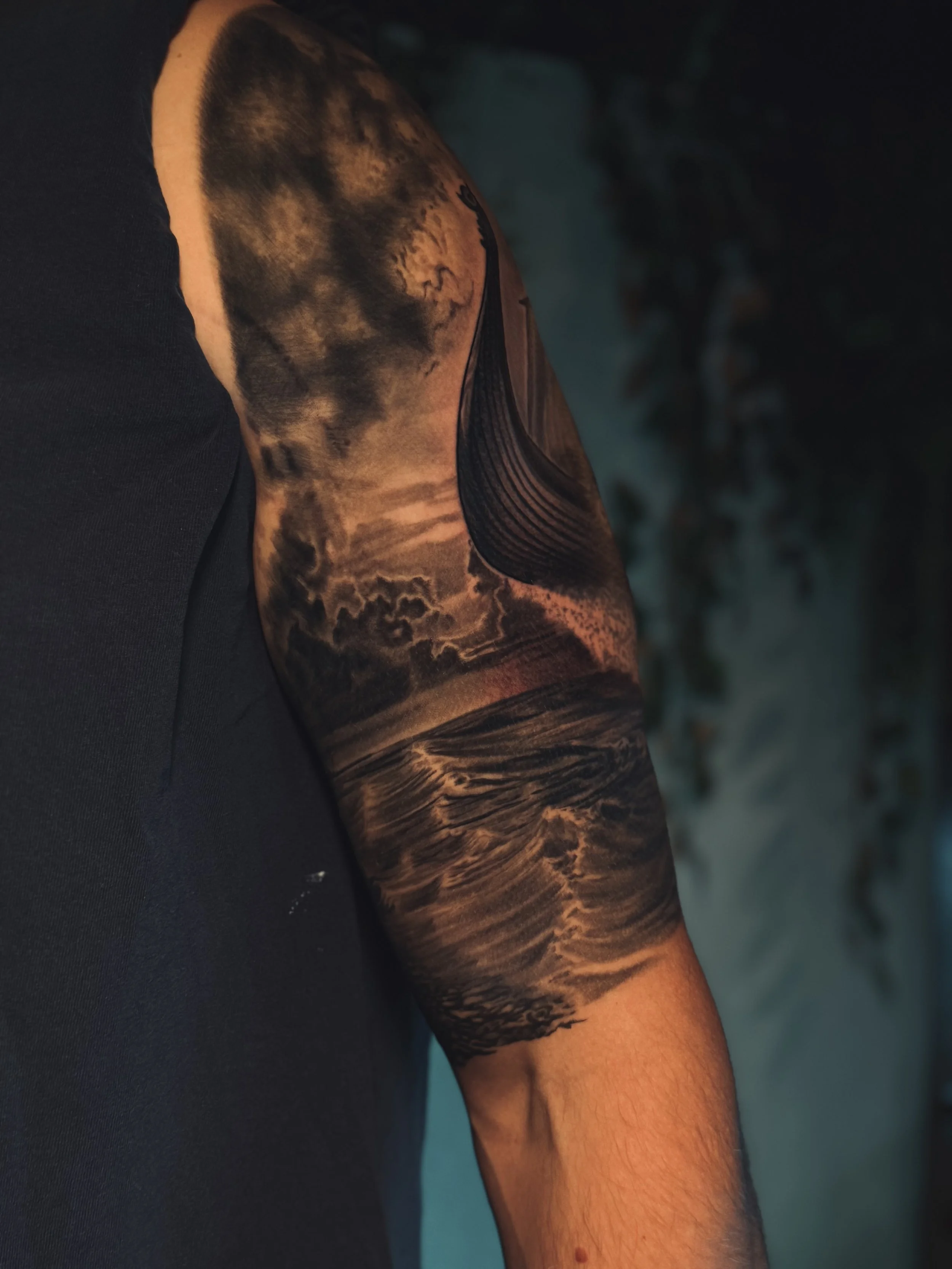 Ascension of the North