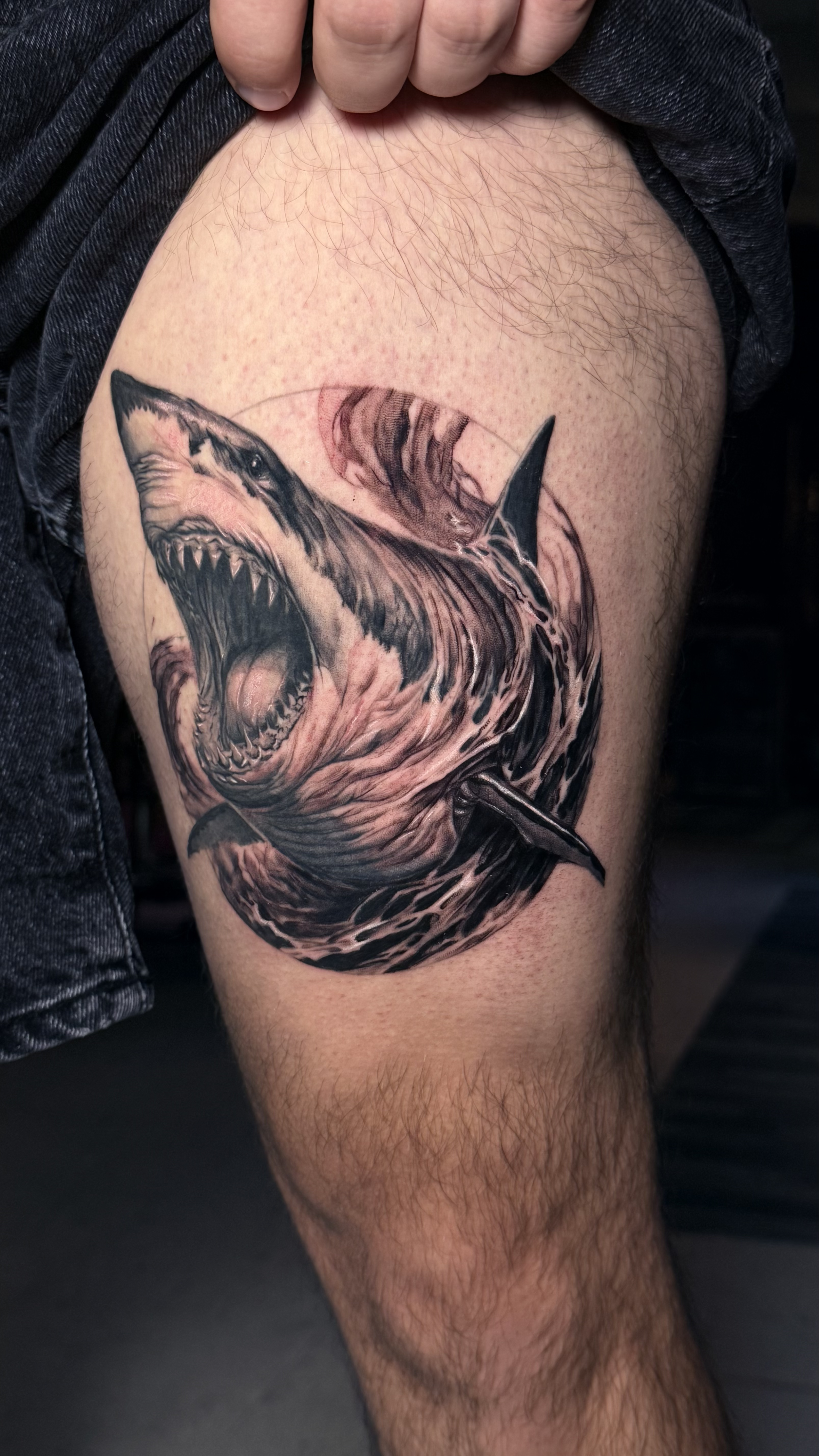 realistic shark tattoo
