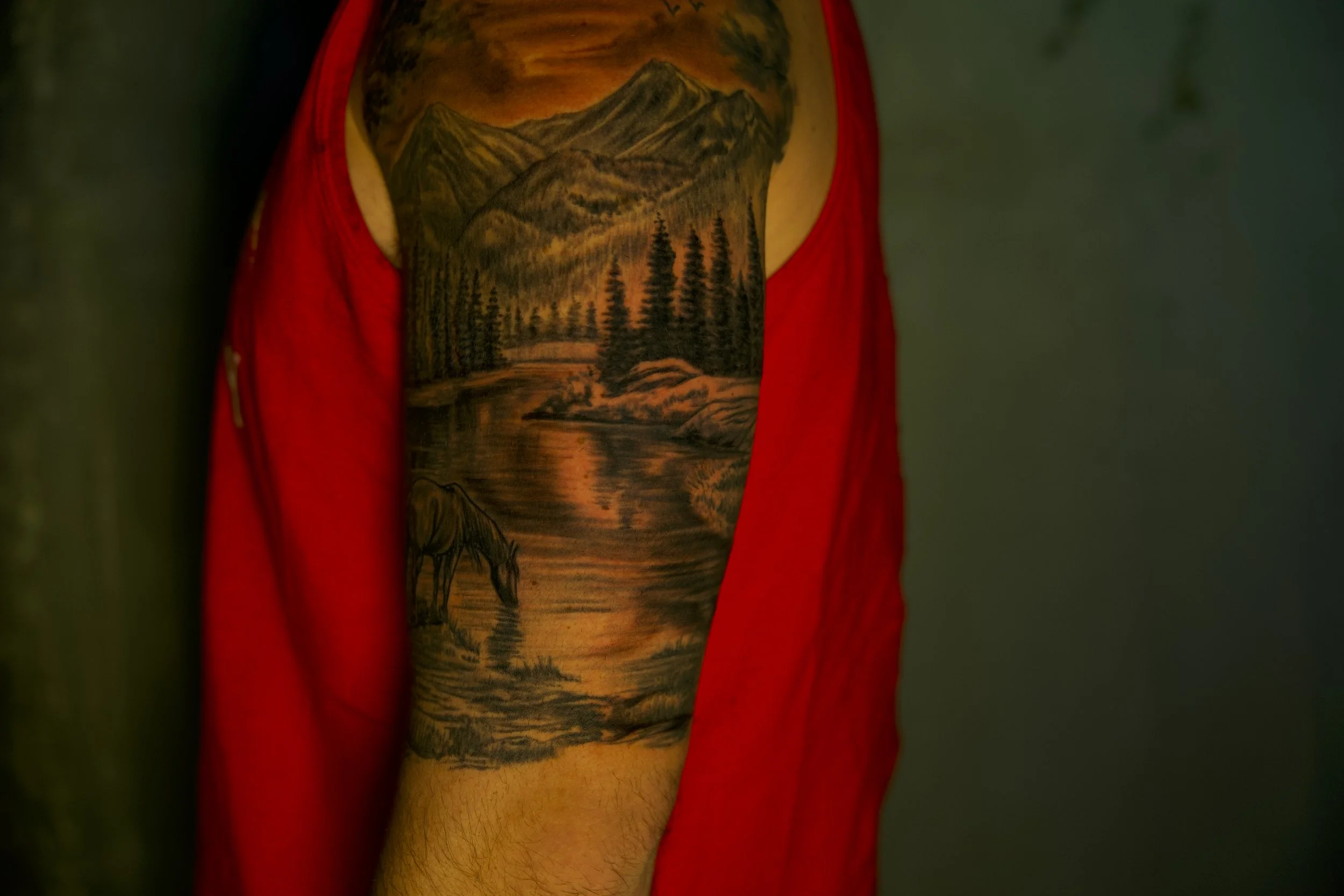 new england landscape closeup.jpg