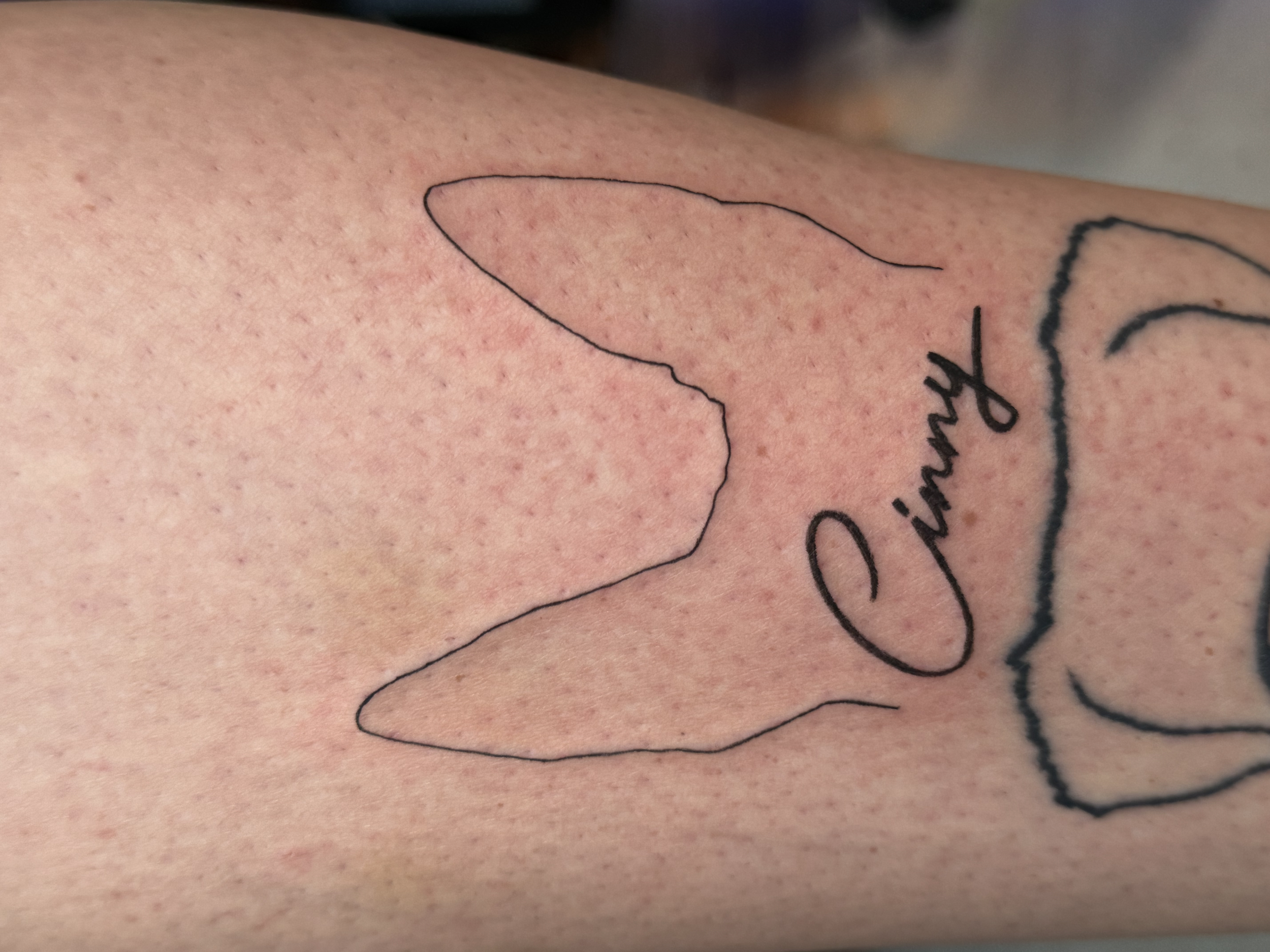 Fineline tattoo by Ellie Rod | Bohemian Social club tattoo | Hudson, MA