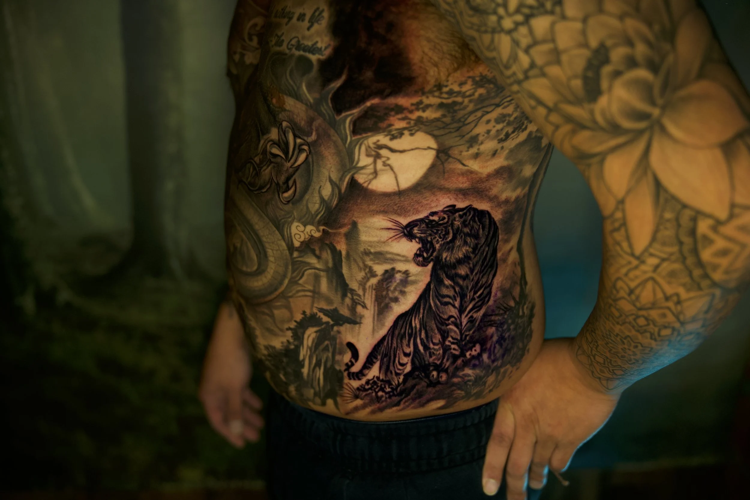 tiger stomach.jpg