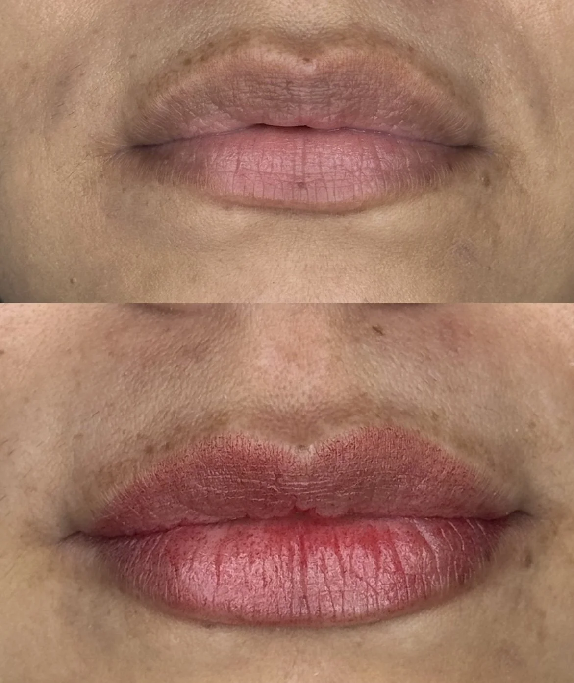 pmu by Ellie — Bohemian Social Club Tattoo, Hudson MA