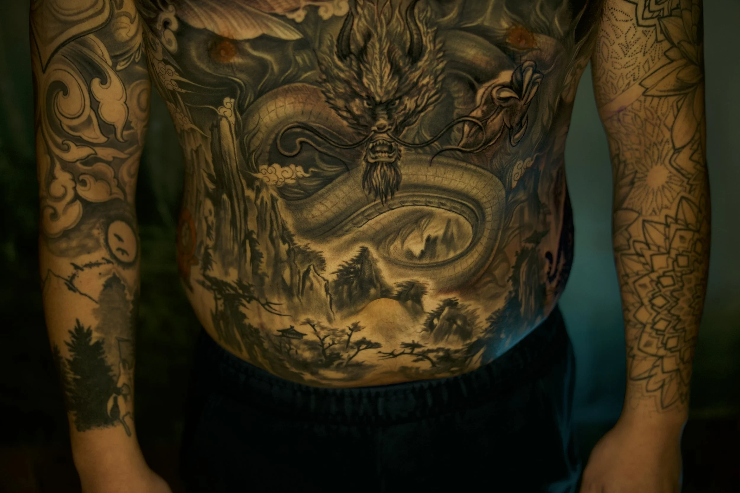 dragon mountains chinese close up.jpg