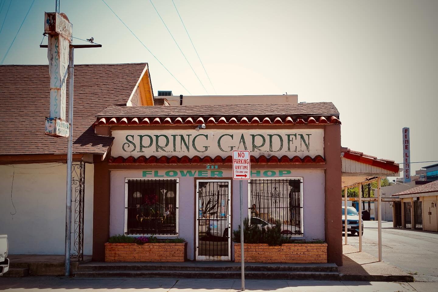 SPRING GARDEN FLOWER SHOP , April 2025 | San Antonio, Texas
๐ธ: @dallanacamargo
#photography #photooftheday #photo #sanantonio #streetphotography #flowershop #sonyzv1 #sonyzv1photography