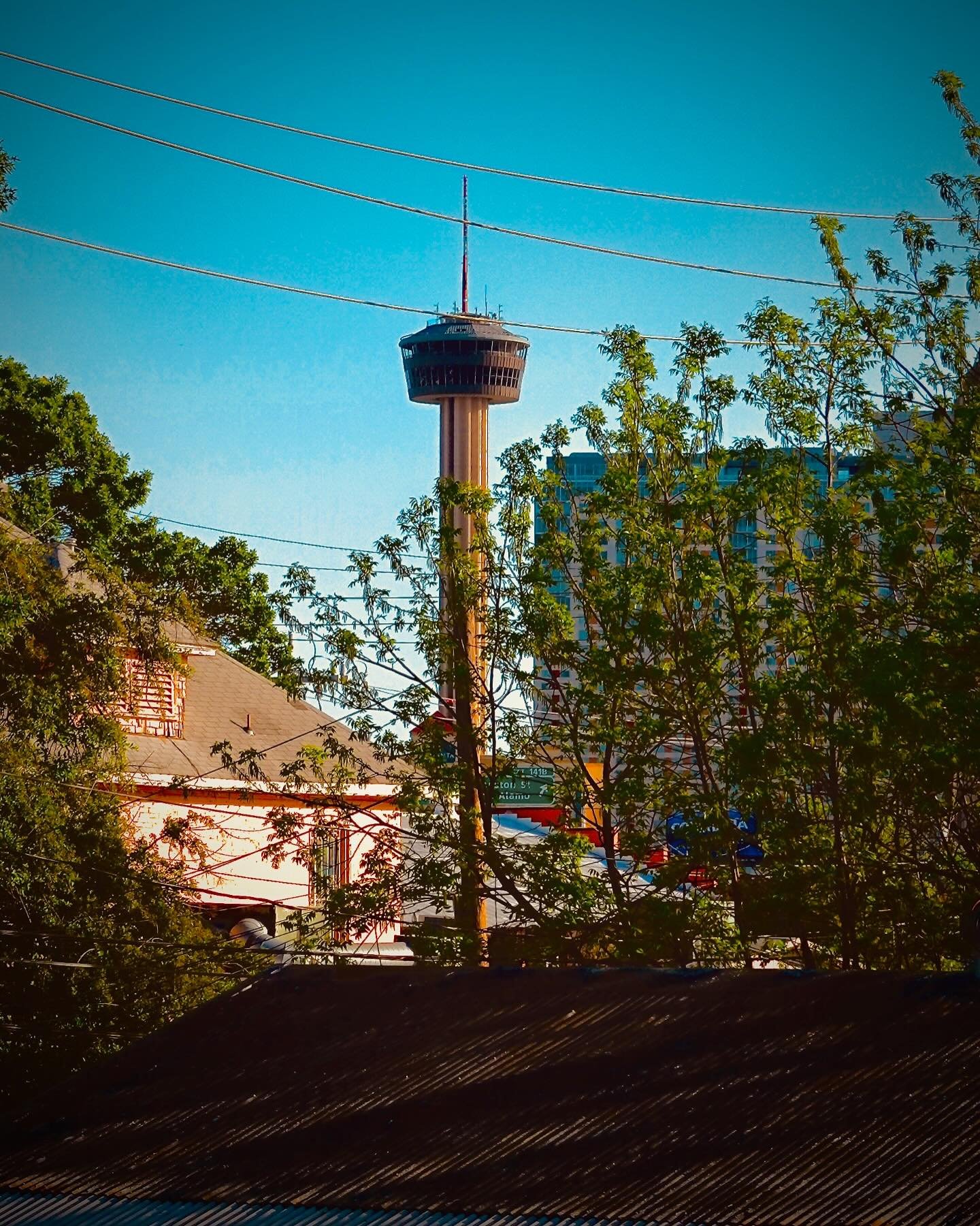 TOWER OF THE AMERICAS, April 2025 | San Antonio, Texas
๐ธ: @dallanacamargo
#photo #photography #photooftheday #sanantonio #texas #toweroftheamericas #streetphotography #cityskyline #sonyzv1 #sonyzv1photography