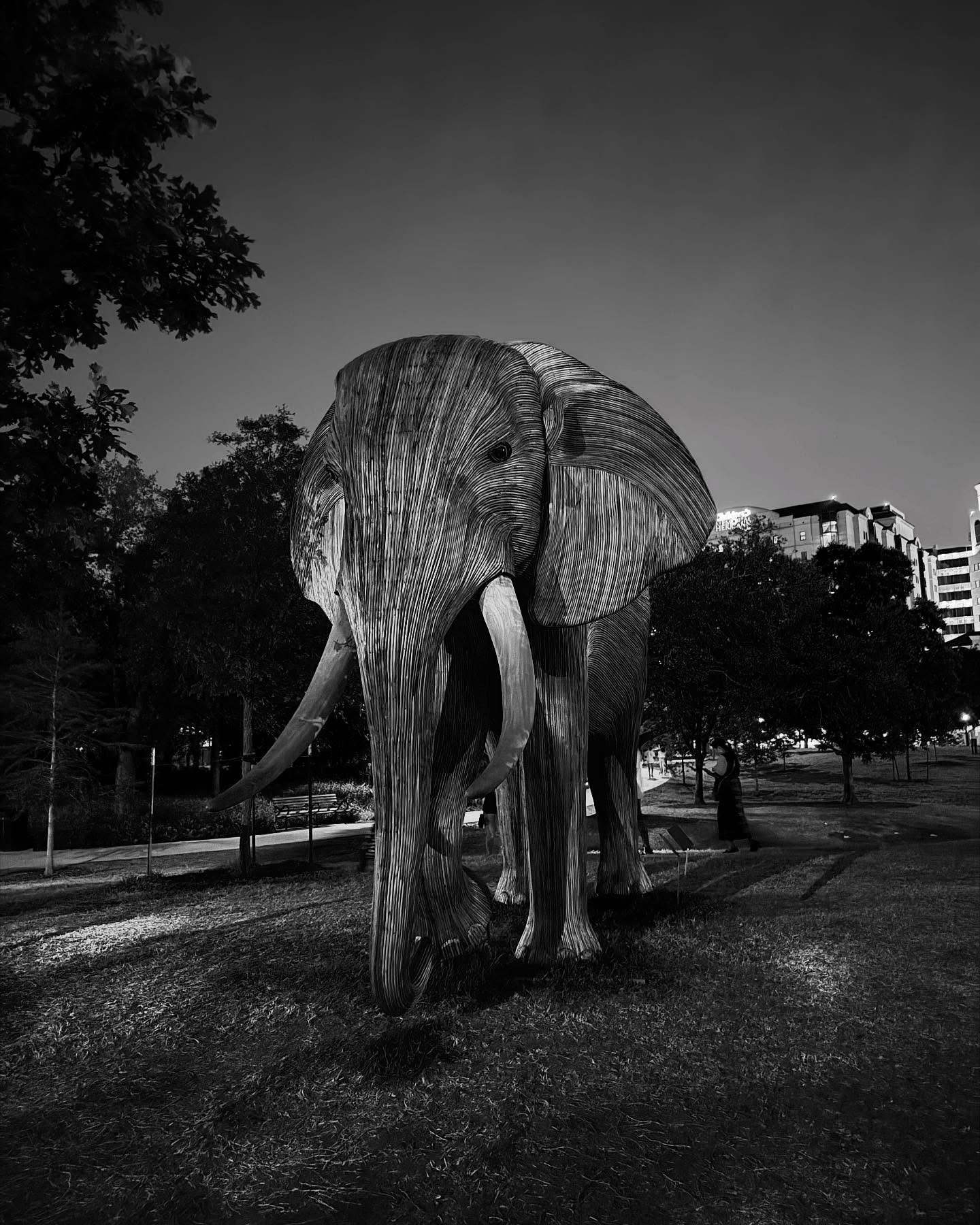 THE GREAT ELEPHANT MIGRATION ART EXIBIT @ HERMAN PARK, April, 2025 | Houston, Texas
๐ธ: @dallanacamargo
#thegreatelephantmigration #thegreatelephantmigrationhouston #hermanpark #hermanparkconservancy #houston #artexibition #photography #photoofth