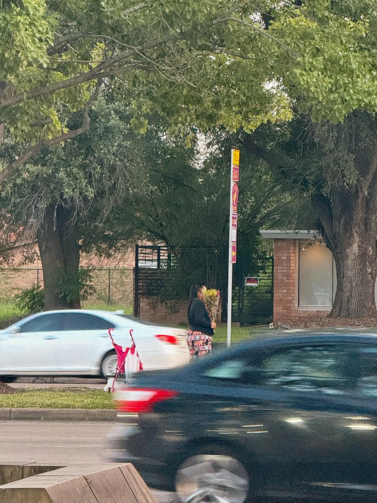 VENDEDORA DE FLORES EN BELLAIRE PART 2, September, 2025 | Houston, Texas
๐ธ: @dallanacamargo
#houston #streetphotography #photooftheday #photography #iphone16pro #iphone16prophotography