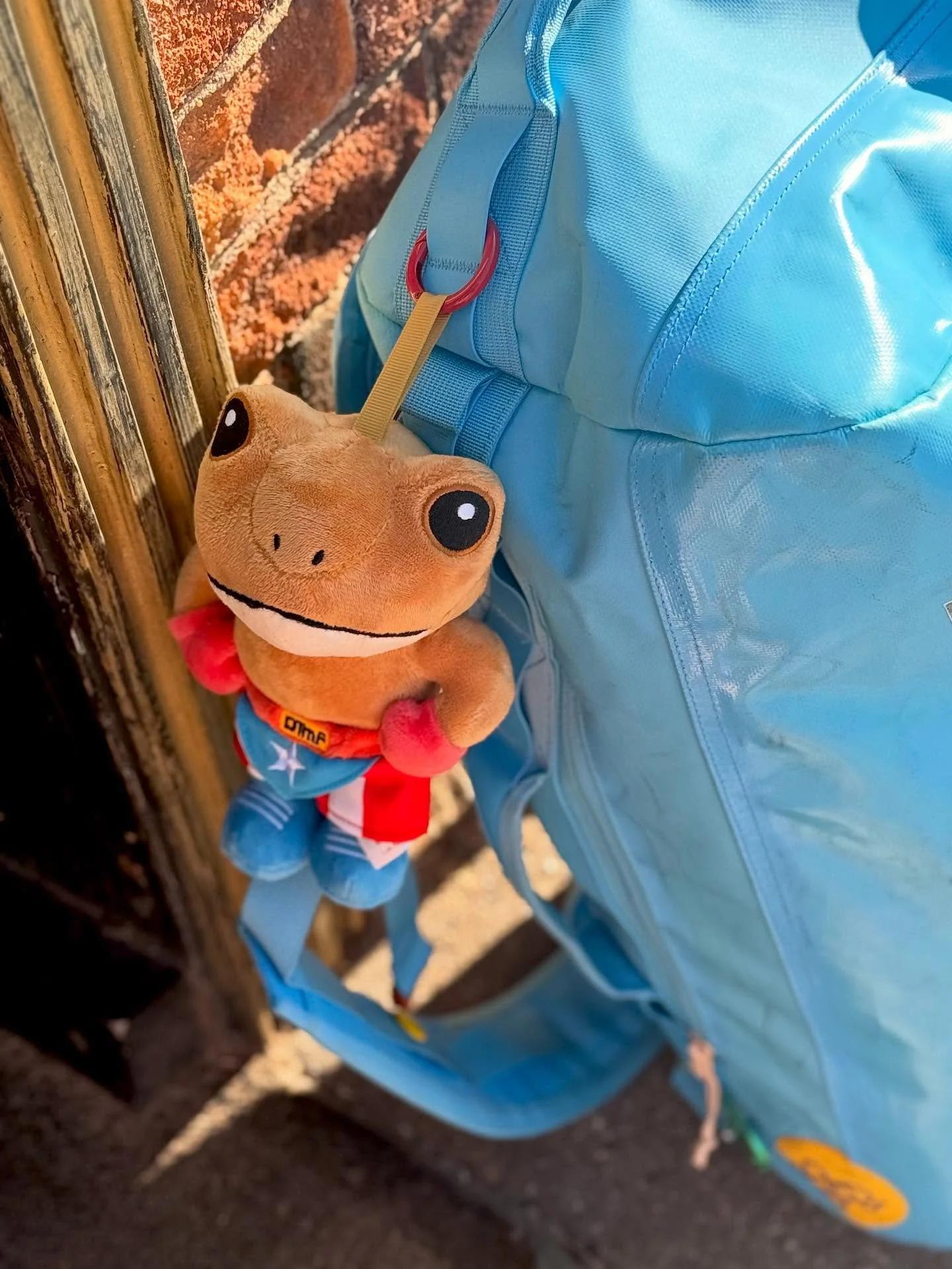 BADBO SAPO CONCHO DTMF, November 2025| Dallas, Texas 

📸: @dallanacamargo 

#badbunny #sapoconcho #sapococho #travel #baboontoys