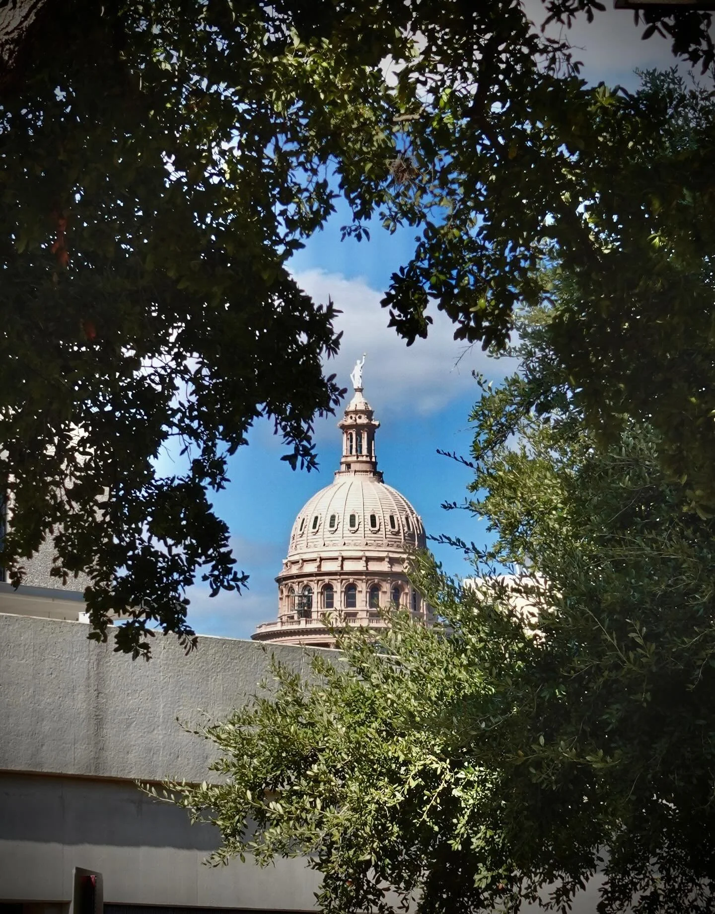 STATE CAPITOL, November 2025 | Austin, Texas 

📸: @dallanacamargo 

#photooftheday #photography #streetphotography #austin #texascapitol #sonyzv1 #sonyzv1photography