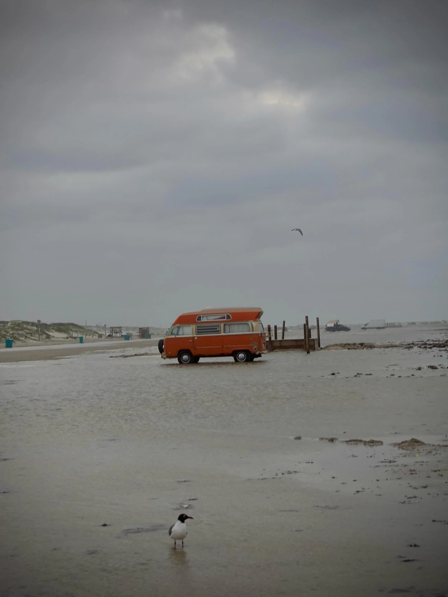 ADVENTUREWAGEN AND SEAGULL, April 2026 | Corpus Christi, Texas

📸: @dallanacamargo 

#corpuschristi #sonyzv1 #photooftheday #photography #vwadventurewagen