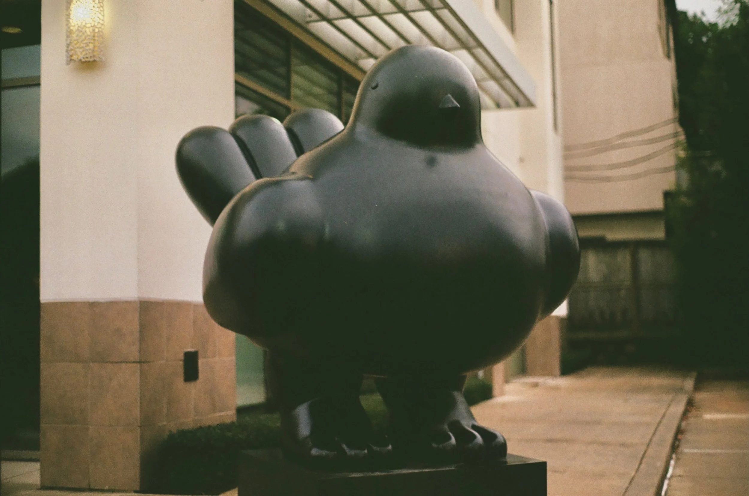 PAJARITO DE BOTERO EN CARRETE, 2026 | Houston, Texas 

📸: @dallanacamargo 

#filmphotography #urbanphotography #minoltax570 #photooftheday